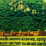 Sajjangarh Wildlife Sanctuary, Udaipur