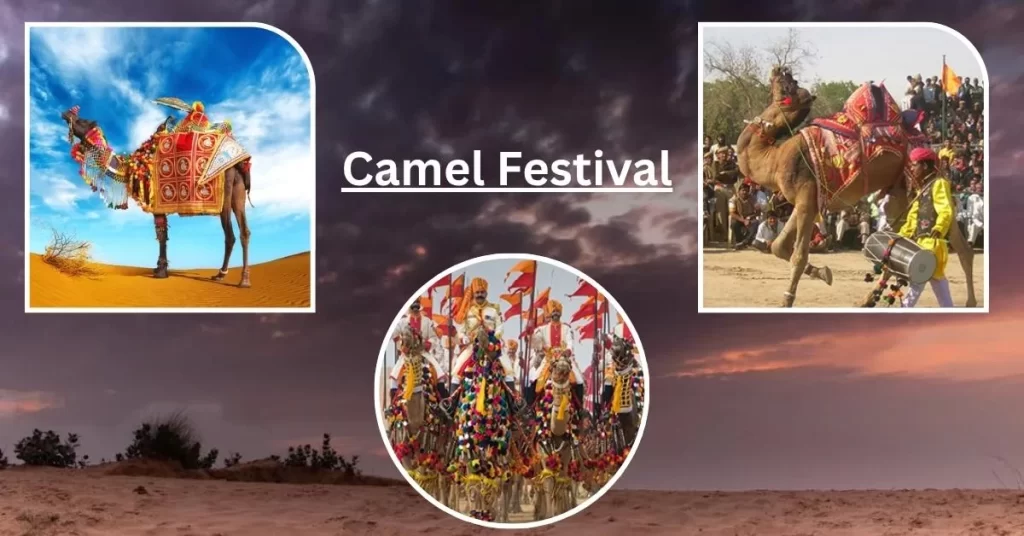 Camel Festival bikaner