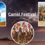 Camel Festival bikaner