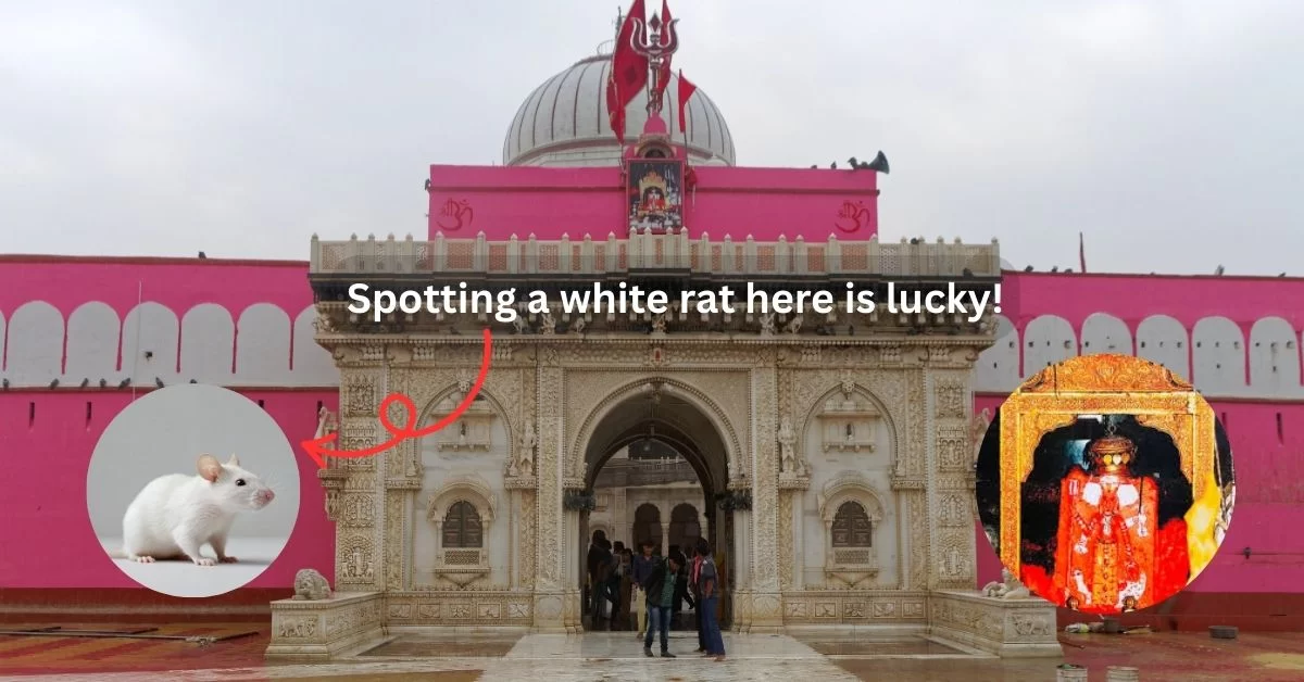 Karni Mata Temple