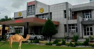 National Research Centre on Camel in Bikaner