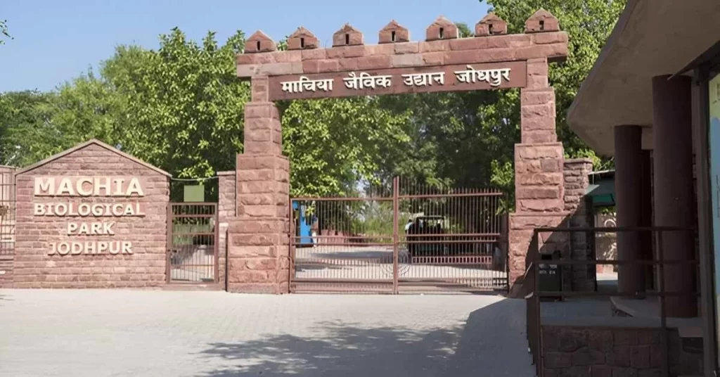 Machia Biological Park Jodhpur