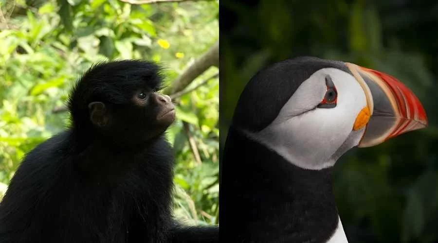 Machia Biological Park