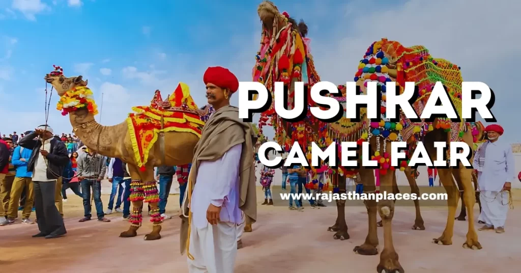 Pushkar Camel Fair 2025