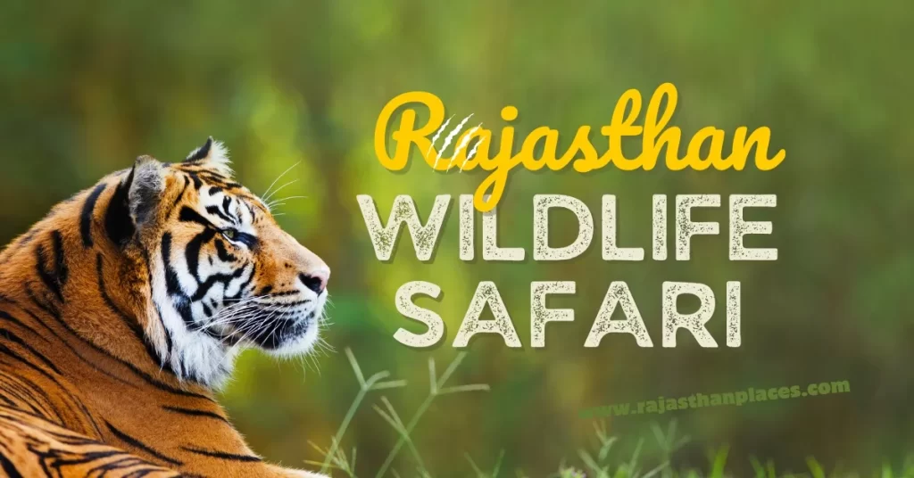 Rajasthan Wildlife Safaris: A Journey into Nature with Rajasthan Places Rajasthan Wildlife Safari