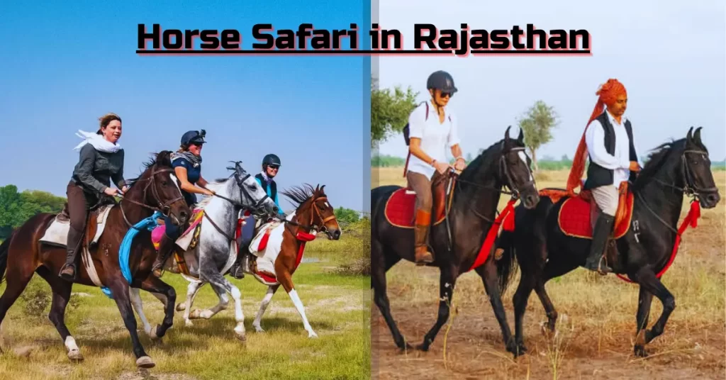 Horse Safari in Rajasthan