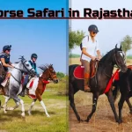 Horse Safari in Rajasthan