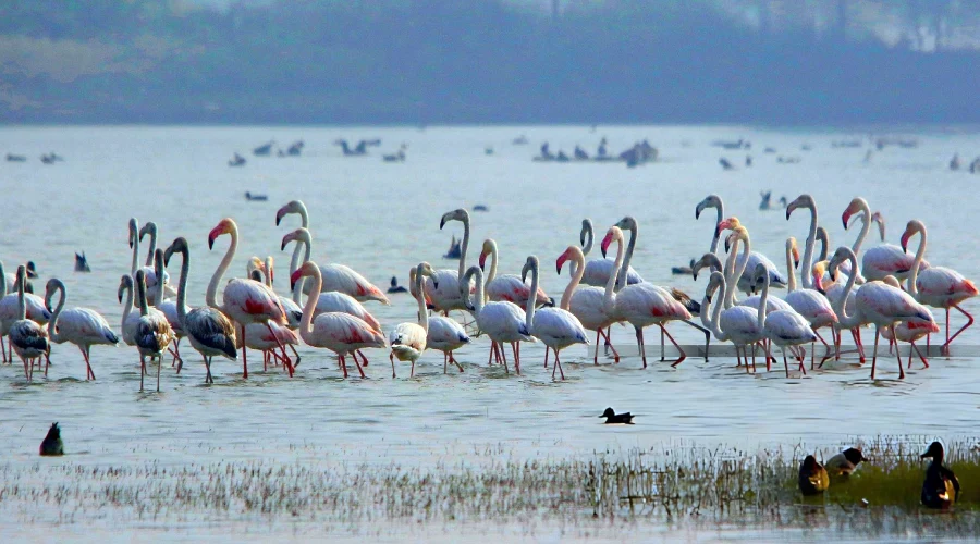 Chandlai Lake