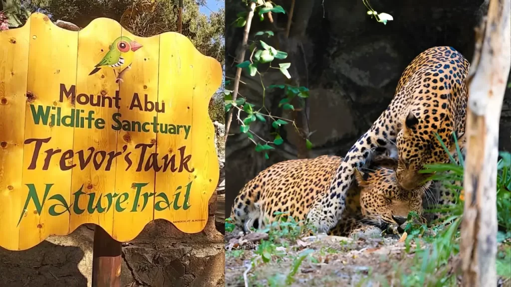 Mount Abu Wildlife Sanctuary