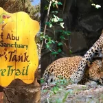 Mount Abu Wildlife Sanctuary