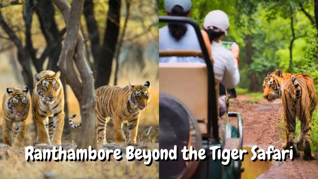 Ranthambore Beyond Tiger Safari