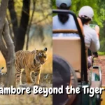 Ranthambore Beyond Tiger Safari