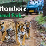 Ranthambore National Park