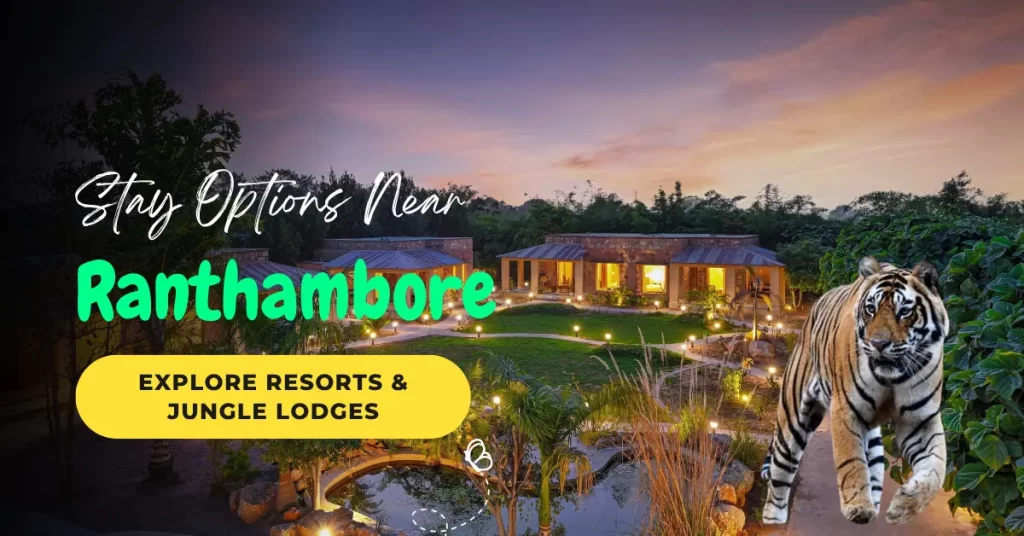 image for Ranthambore stay options showing a resort illuminated at dusk, a Bengal tiger walking in the foreground, and text overlay advertising resorts and jungle lodges.