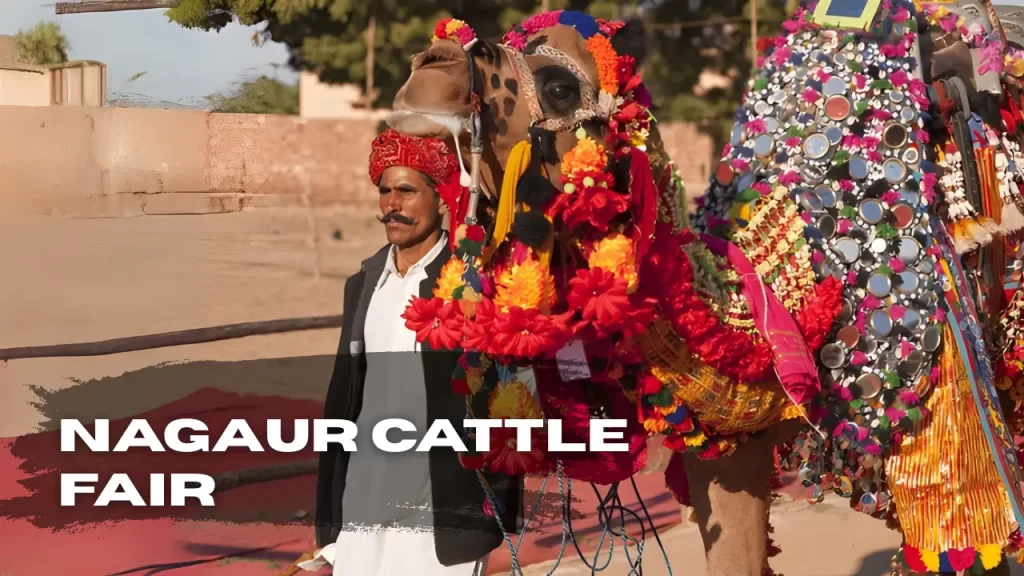 nagaur cattle fair festival 2026