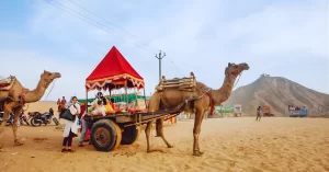 Camel Safari in Pushkar – Price, Timings, Best Season & Desert Experience 2025 Camel Safari in Pushkar