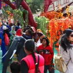 Mount Abu Summer Festival