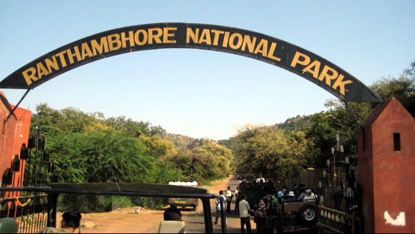 Ranthambore National Park
